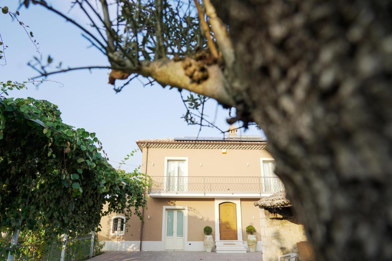 B&B La Maddalena Passo di Mirabella エクステリア 写真